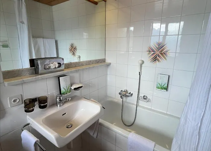 Ermitage 3* ヴェルビエール